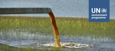 Зеленые воды Байкала: глобальное потепление, сточные воды и ЦБК сделали  озеро токсичным