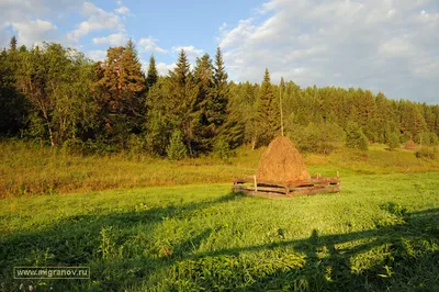 Клод Моне - Стога сена, солнце в тумане, 1891, 100×65 см: Описание  произведения | Артхив