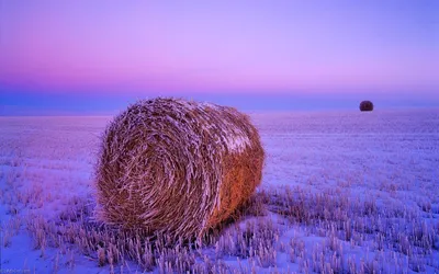 Стог сена около Живерни - Клод Моне. Подробное описание экспоната,  аудиогид, интересные факты. Официальный сайт Artefact