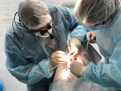 Детская стоматология в Кирове| Детский стоматолог - клиника Гамма-Дент