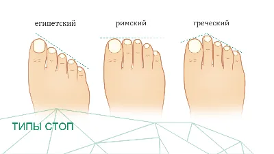 Стопы ног 61 картинка