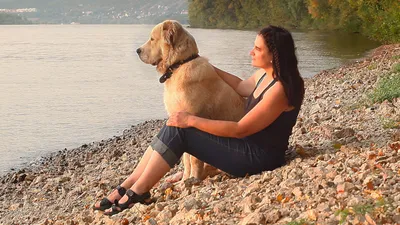 Московская сторожевая собака 🐶 — характер собаки и советы по уходу
