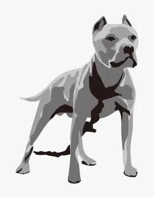 Один из лучших сторожевых собак Стоковое Фото - изображение насчитывающей  форма, искатель: 160741810