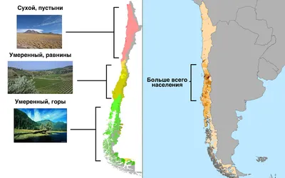 Почему у Чили такая странная география? Кто вытянул страну? Объясняю просто  | МИР НАУКИ: интересное вокруг | Дзен