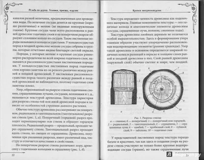 Иллюстрация 8 из 19 для Комплект "Страна мастеров". Резьба по дереву +  Выжигание по дереву + Гравировальные работы | Лабиринт - книги. Источник:  Sergiel