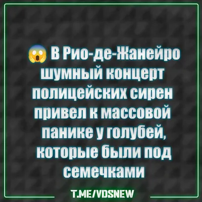 Странный юмор, который заставит ваш мозг проснуться | ЛМК | Дзен