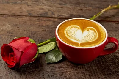 💗 Бирюзовая чашка кофе! Гифки с добрым утром любовь моя, гифки страстные с добрым  утром! | гифки страстные с добрым утром | открытка, картинка 123ot