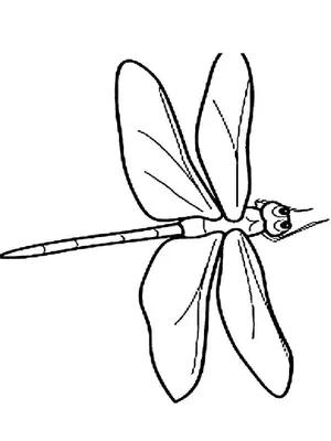 Картинка Стрекоза распечатать раскраску для детей | 