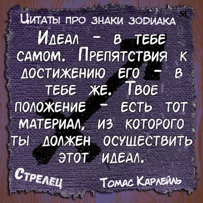 Прикольные картинки знаков зодиака на футболки недорого - купить футболку  Знак Стрелец