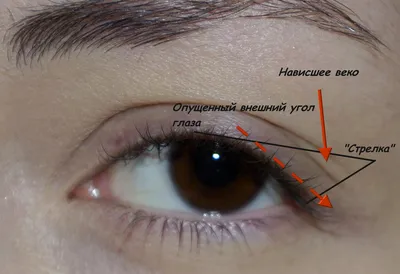 Модные стрелки 2023: татуаж и перманентный макияж глаз - PIGMENT CLUB —  арт-клиника перманентного макияжа Анны Савиной