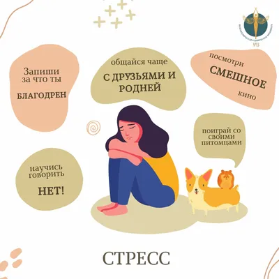 Мастер-класс «Стресс-менеджмент. Как управлять сложными эмоциями?» |  Развитие малого и среднего предпринимательства | Национальный проект |  mybiz63 / майбиз63