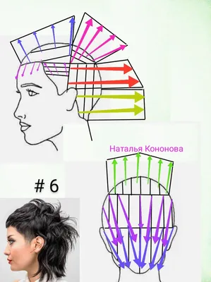 Курс Продвинутые короткие женские стрижки - KLOCH - школа парикмахеров в  Алматы