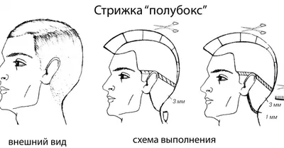 Пошаговая инструкция по мужской стрижке полубокс машинкой