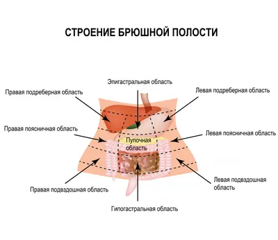 Перитонит - причины появления, симптомы заболевания, диагностика и способы  лечения