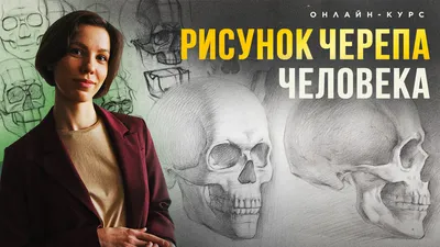 Анатомия человека: голова, шея. Возрастные изменения