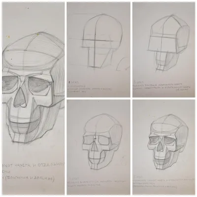 Плакат "Скелет человека и строение черепа" (1 шт, формат А1,  ламинированный). Комплект из 2 штук - купить с доставкой по выгодным ценам  в интернет-магазине OZON (506441573)