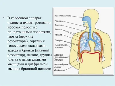 А.И. Ахметзянова Т.Ю. Корнийченко Л.Н. Суздальцева ЛОГОПЕДИЧЕСКИЙ АТЛ