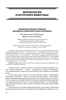 Изучите таблицу Класс Млекопитающих. Строение кролика.Рассмотрите  рисунок.Напишите названия костей - Школьные Знания.com