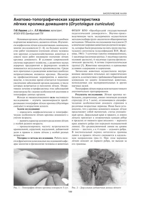 Пасхальная статуя кролика ручная роспись Декор Пасхальный кролик Изысканная  устойчивая к выцветанию прочная конструкция водонепроницаемая для двора |  AliExpress