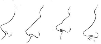 Носовая и ротовая полости | 3D Анатомия человека | Внутренние органы -  YouTube