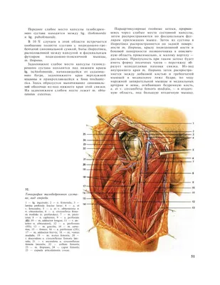 Группировка "Великолепие", непутевые заметки) | Страница 34 | 