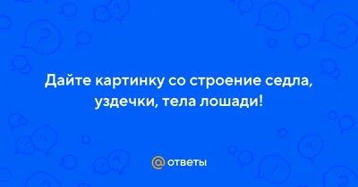 Строение седла и уздечки картинки