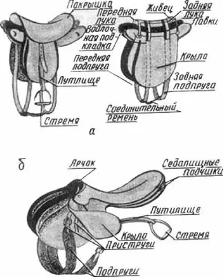 Выбираем уздечку для лошади: виды, строение и основные отличия - HorseUA
