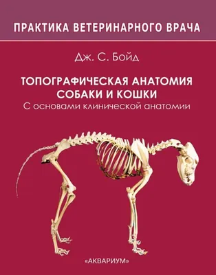 Топографическая анатомия собаки и кошки. С основами клинической анатомии -  купить с доставкой по выгодным ценам в интернет-магазине OZON (231019532)