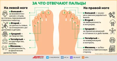 Стопа – зеркало души. О чём могут рассказать ноги? | Здоровье | АиФ  Аргументы и факты в Беларуси