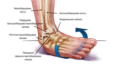 Хирургия стопы (Hallux Valgus) - операция по ОМС и квоте