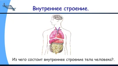 Таблицы демонстрационные "Строение тела человека" купить по цене 4   р. | Оснащение школ | ВнешРегионТорг