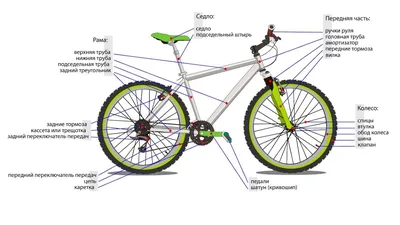 Устройство велосипеда (схема)