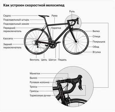 Урок по окружающему миру в 1-м классе «Когда изобрели велосипед?»