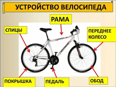 Основные размеры велосипеда - Устройство велосипеда - Каталог статей -  Крути педали! (ex ВелоУспенка)