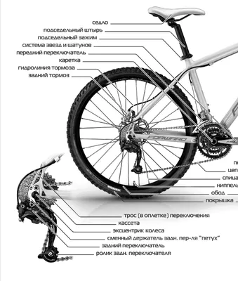 Устройство велосипеда » Дикий Байк - Веломастерская и выездной ремонт  велосипедов.