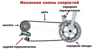 Конкурс «Устройство велосипеда» («Дороги без опасности») - ВДЦ «Океан»