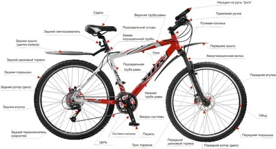 Анатомия горного велосипеда - Статьи | Bikedivision - интернет-магазин  велосипедов по доступным ценам | 