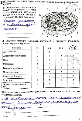 Решено)Страница 13 ГДЗ Колесов Маш 8 класс по биологии с пояснениями