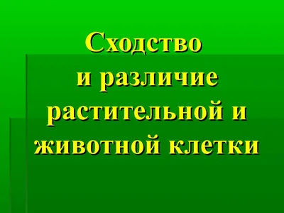 Calaméo - 9-10 кл Биология.Сходство и различие между растительной и животной  клеткой