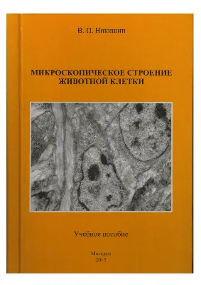 Б. Структура животной клетки / Биохимия