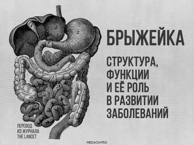 Рак сигмовидной кишки: симптомы, причины, прогнозы, диагностика, лечение |  ФГБУЗ Сибирский окружной медицинский центр