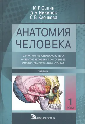 Купить Художественная система тела, крафт-бумага, плакат, ретро-анатомия,  изображение структуры человека, скелета, мускулатуры | Joom