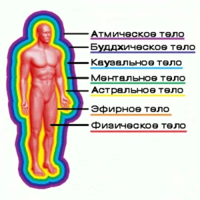 Кребс Энергетическая структура человека и Вселенной (теория)