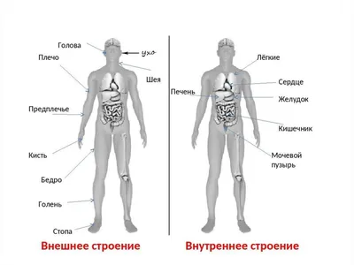 Почему трудно вырваться из неудач? | Сотворцы | Дзен