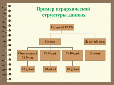 Табличная структура данных OTUS