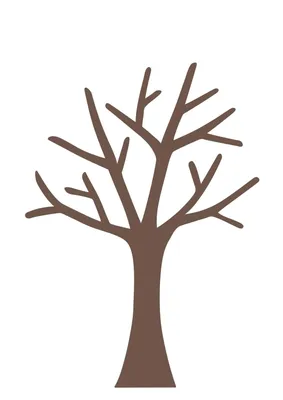 Рисунок ствол дерева без листьев - 71 фото