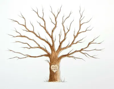 ствол дерева в разрезе - Google Search | Дерево, Срезы дерева, Ствол дерева