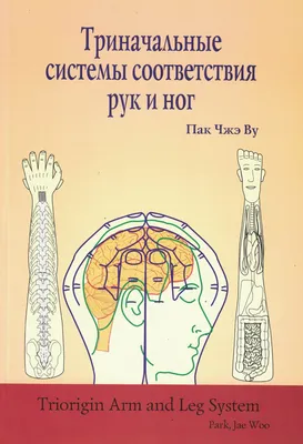 Су-Джок терапия для развития мелкой моторики у детей. Пальчиковые игры.  Прусакова Светлана. - YouTube