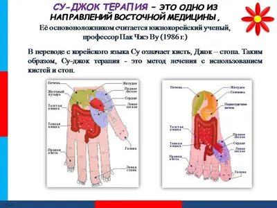 БЕСПЛАТНЫЕ РАССЫЛКИ📝🎓📚📖 on Instagram: “Су-джок терапия - уникальное  средство для развития речи у детей. Упражнения с использова… | Развитие  речи, Джоки, Терапия