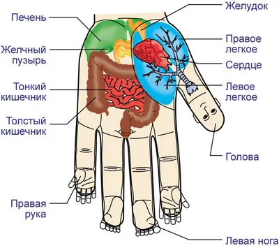 Семена вместо таблеток - 